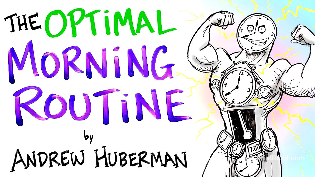 The Optimal Morning Routine - Andrew Huberman