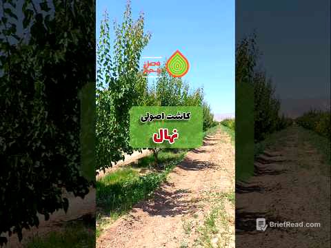 ۳ نکته طلایی برای کاشت اصولی نهال#shorts