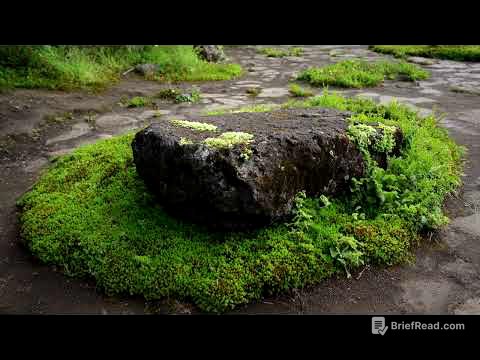 Moss Gardening 101: Create a Serene Japanese Moss Garden | Shade Landscaping & Moss Garden Ideas
