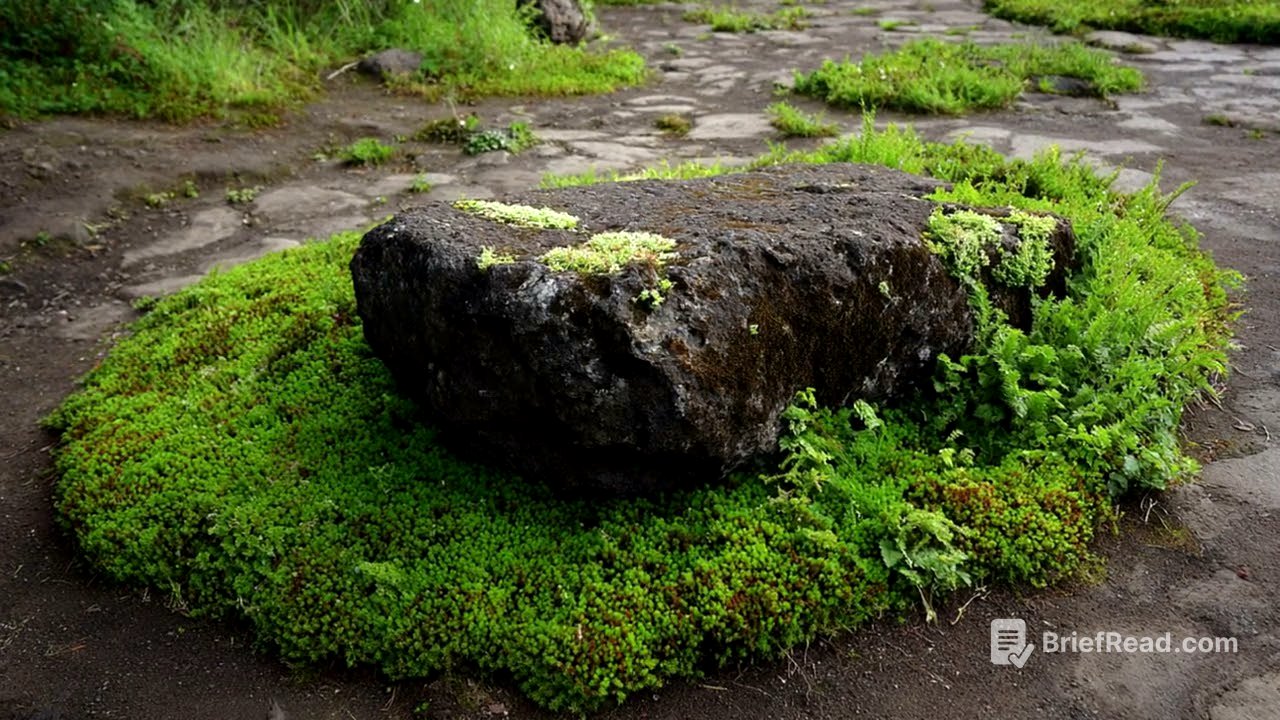 Moss Gardening 101: Create a Serene Japanese Moss Garden | Shade Landscaping & Moss Garden Ideas
