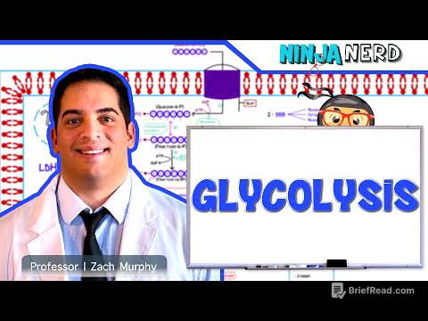 Metabolism | Glycolysis