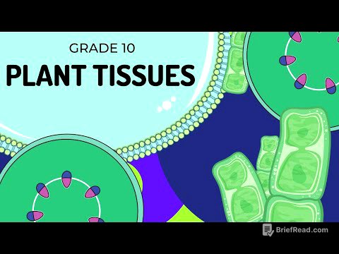 PLANT TISSUES | EASY to UNDERSTAND