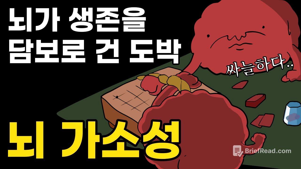인간의 뇌는 위험한 도박을 했다 | 뇌 가소성, 뇌과학 이야기