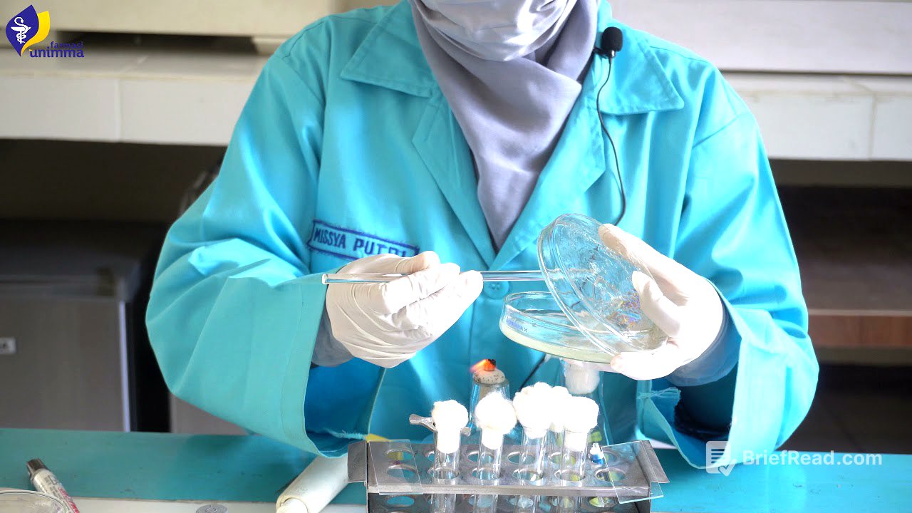 Praktikum Mikrobiologi: Percobaan 7 (Uji Aktivitas Metode Difusi Agar - Sumuran)
