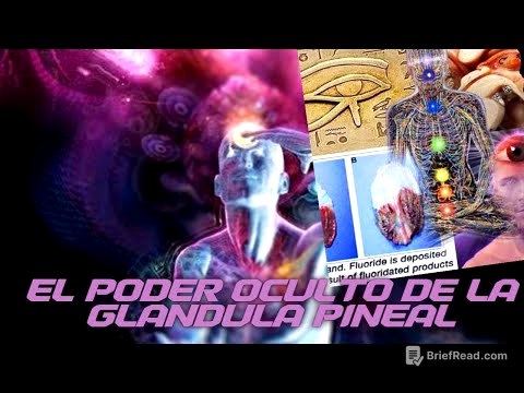 EL PODER OCULTO DE LA GLANDULA PINEAL