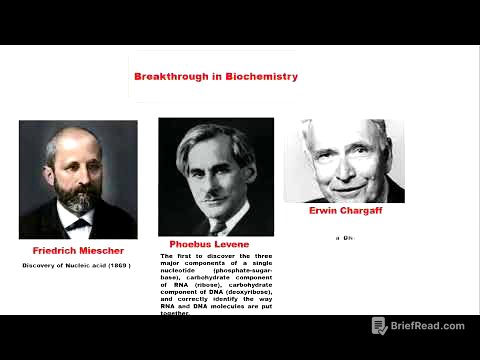 Introduction to physiological and pathological chemistry