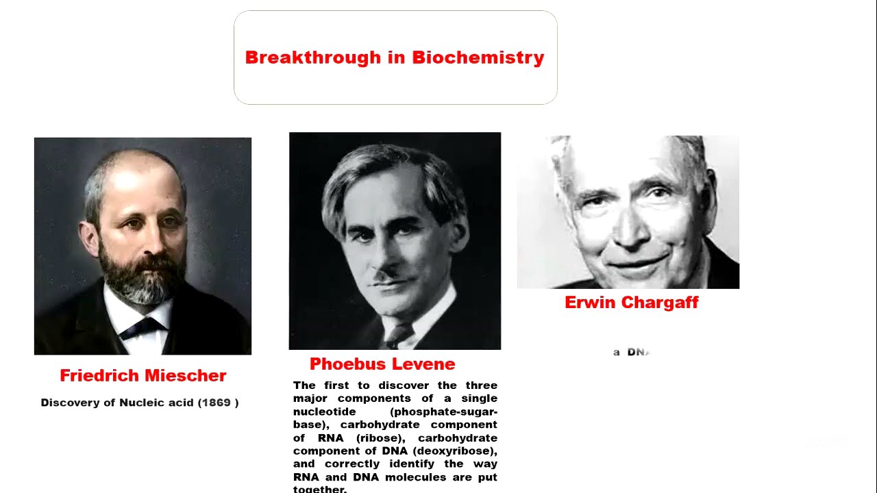 Introduction to physiological and pathological chemistry