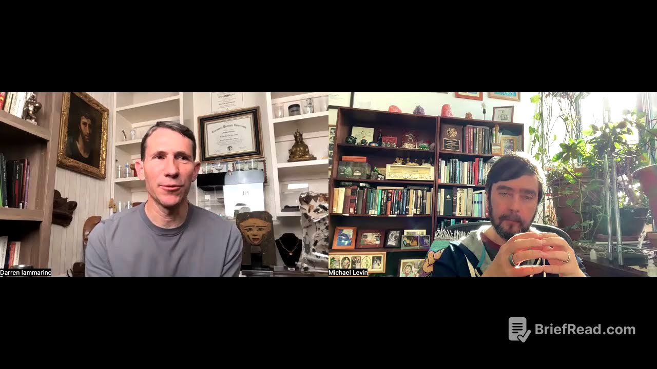 Conversation with Darren Iammarino #1