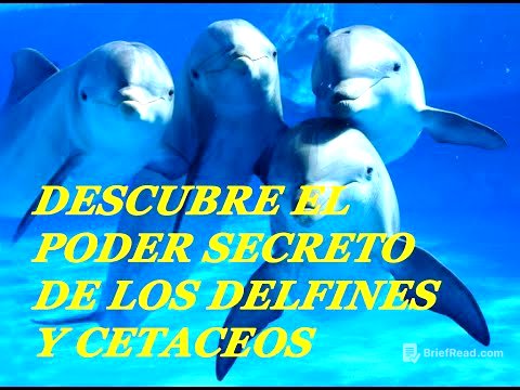 DESCUBRE El poder secreto de los delfines y cetáceos