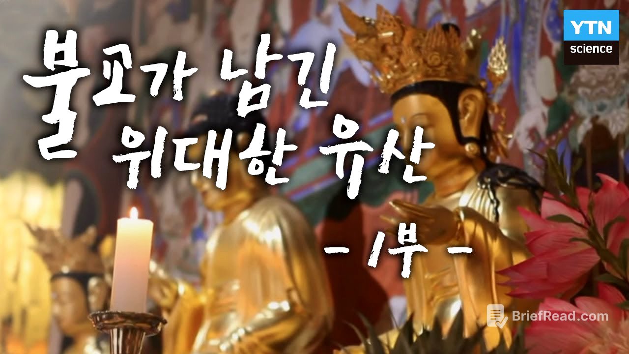 불교가 남긴 위대한 유산 2부작 1부 : 사찰 건축으로 알아본 불교 / YTN 사이언스