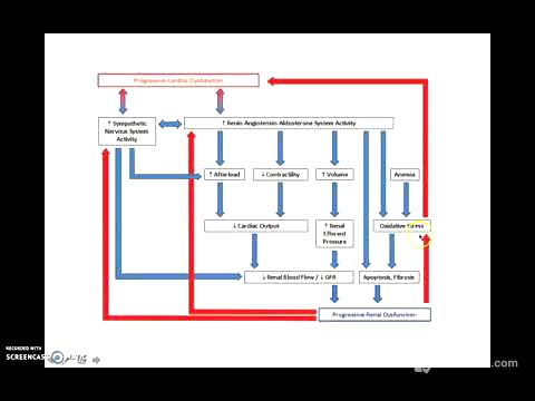 Síndrome Cardiorrenal