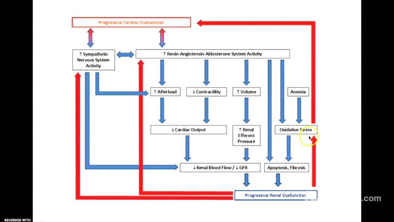Síndrome Cardiorrenal