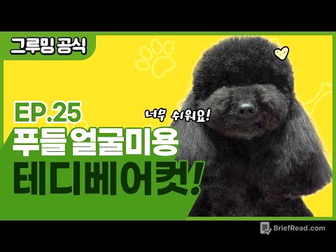 푸들 테디베어컷 어렵지 않아요! [그루밍 공식 EP.25]