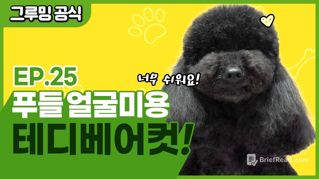 푸들 테디베어컷 어렵지 않아요! [그루밍 공식 EP.25]
