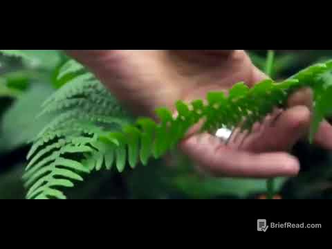 pteridofitas