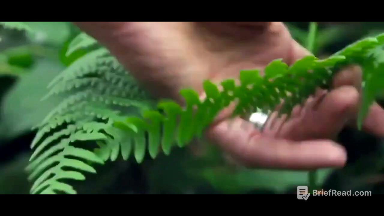 pteridofitas