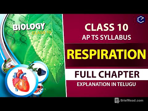 #Respiration Full chapter Explanation in Telugu | 10th biology Ch 2 | AP & TS syllabus |10th Biology