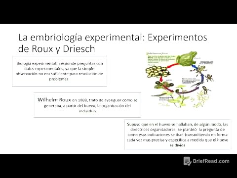 5° Año, Área Biología, Desarrollo Embrionario  Parte 2, Prof. Eglendys Parra