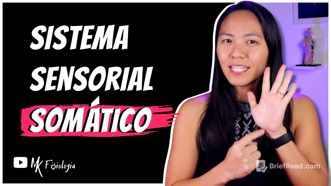 SISTEMA SENSORIAL SOMÁTICO (SOMATOSSENSORIAL): TATO E TEMPERATURA | MK Fisiologia