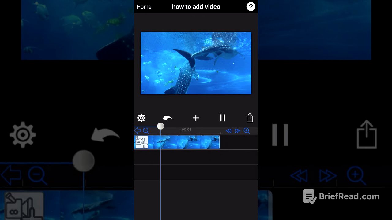 How to add video and edit video?