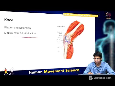 Major joints and their actions - Part 2