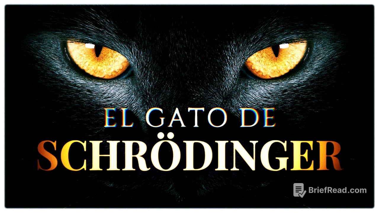 EL GATO DE SCHRÖDINGER 📦🐈 | ¿Un Asesinato Cuántico o la Puerta a una Realidad Paralela?