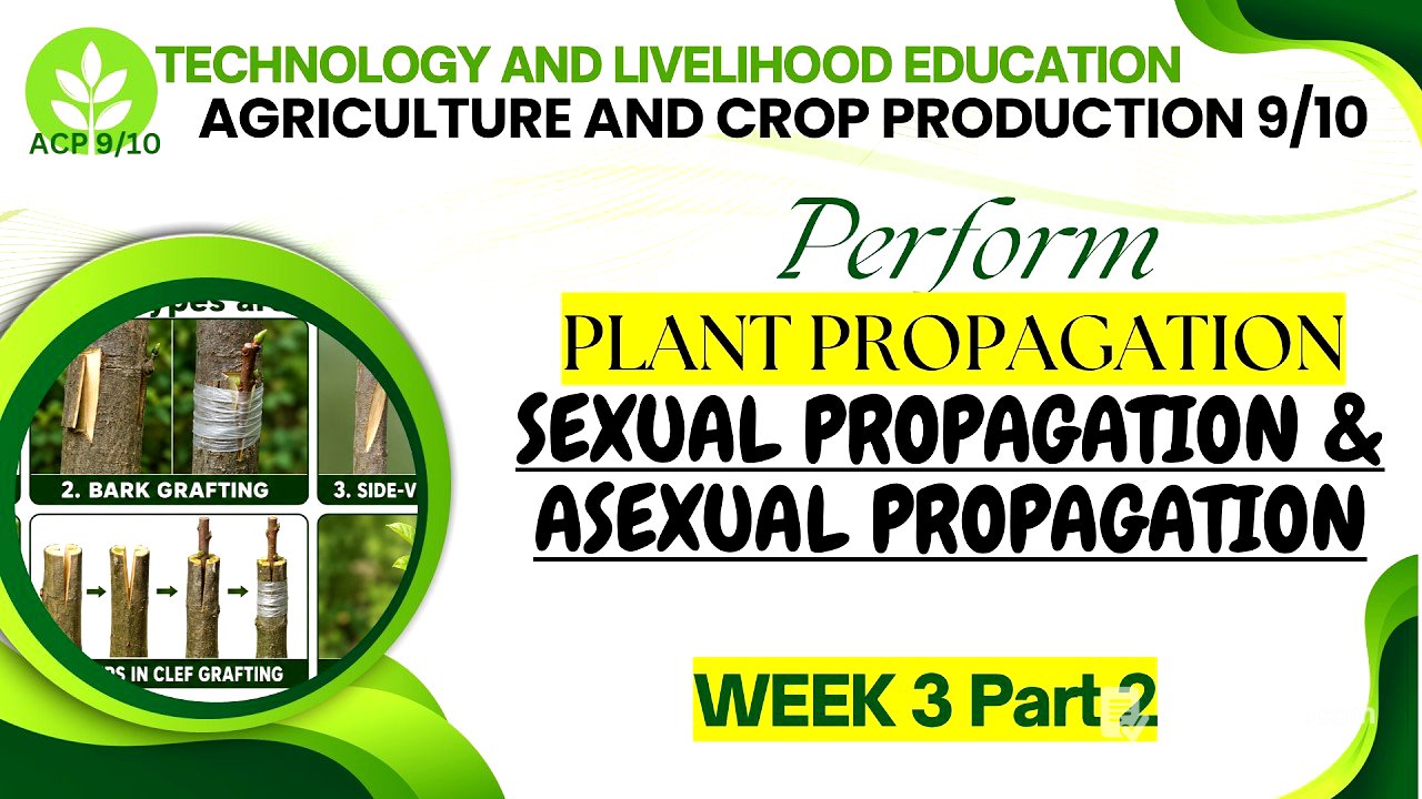 TLE AFA 9/10: ACP Week 3 Part 2: Plant Propagation: SEXUAL PROPAGATION AND ASEXUAL PROPAGATION