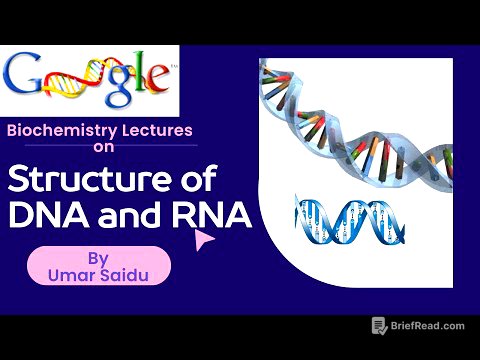 Structure of DNA and RNA
