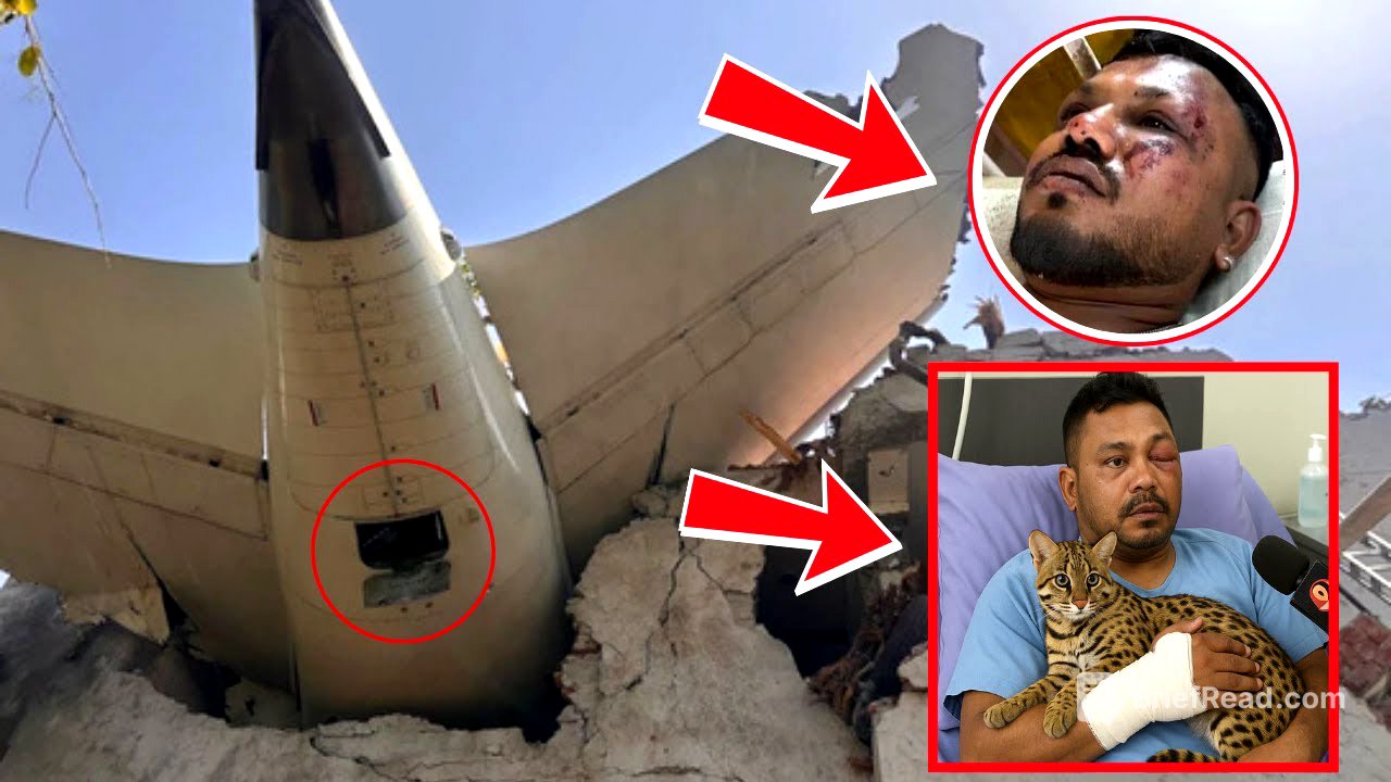 Sole survivor of Air India crash describes how a Little Bobcat saved her after impact