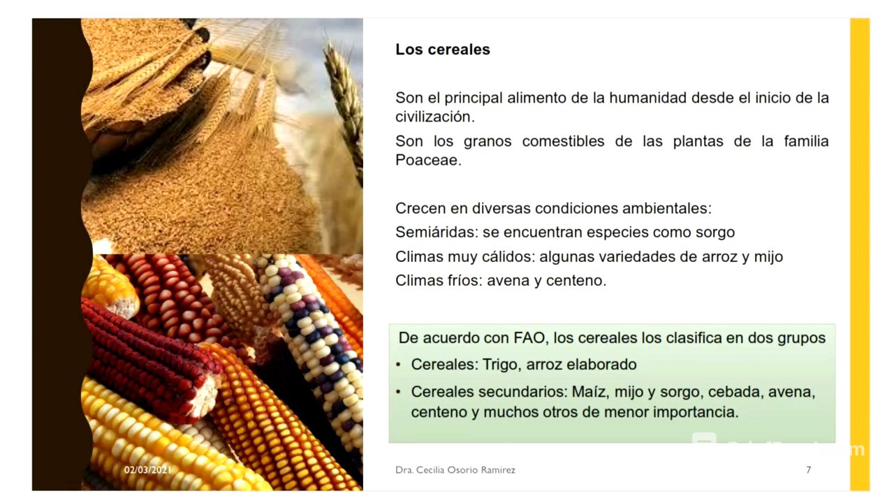 ¿Qué es un CULTIVO BÁSICO? | Introducción cultivos básicos