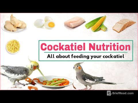 Cockatiel diet | Safe and unsafe food for your cockatiel l Best cockatiel bird food | cockatiel food