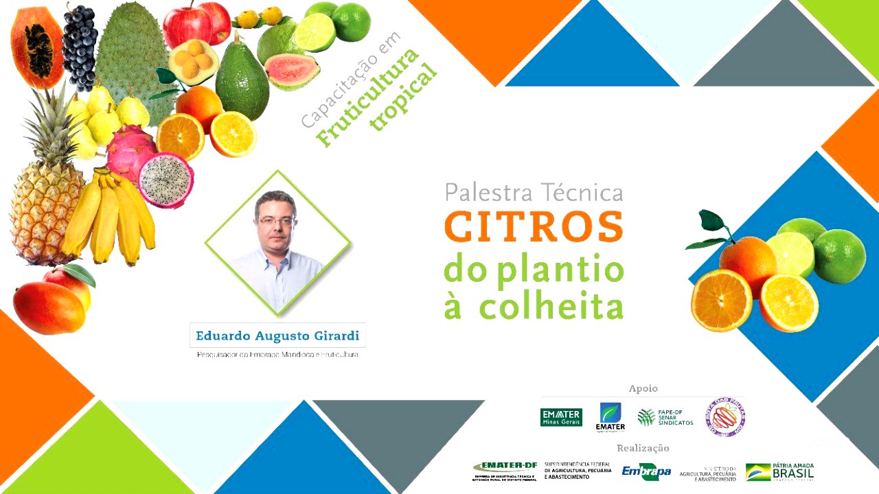 Citros: do plantio à colheita