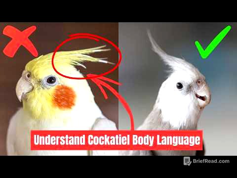 Training a Cockatiel: What You Need to Know