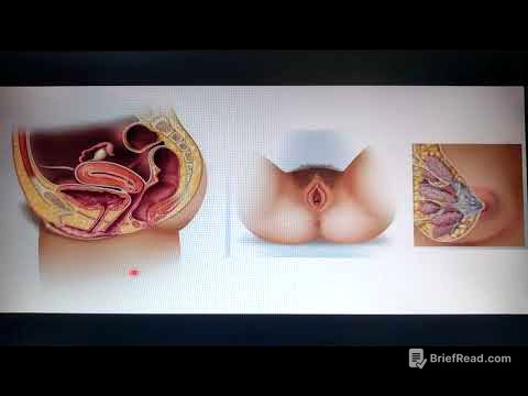 1 introducción aparato reproductor femenino