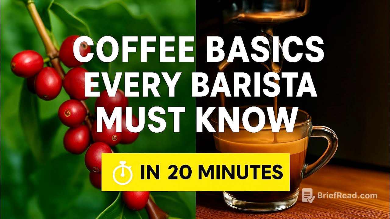 Become a Barista in 20 Minutes (Inspired by SCA Courses) Part 1