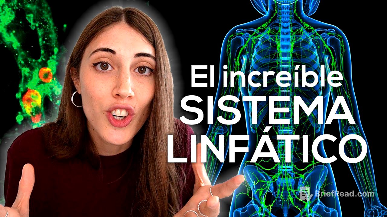 El increíble (y olvidado) SISTEMA LINFÁTICO