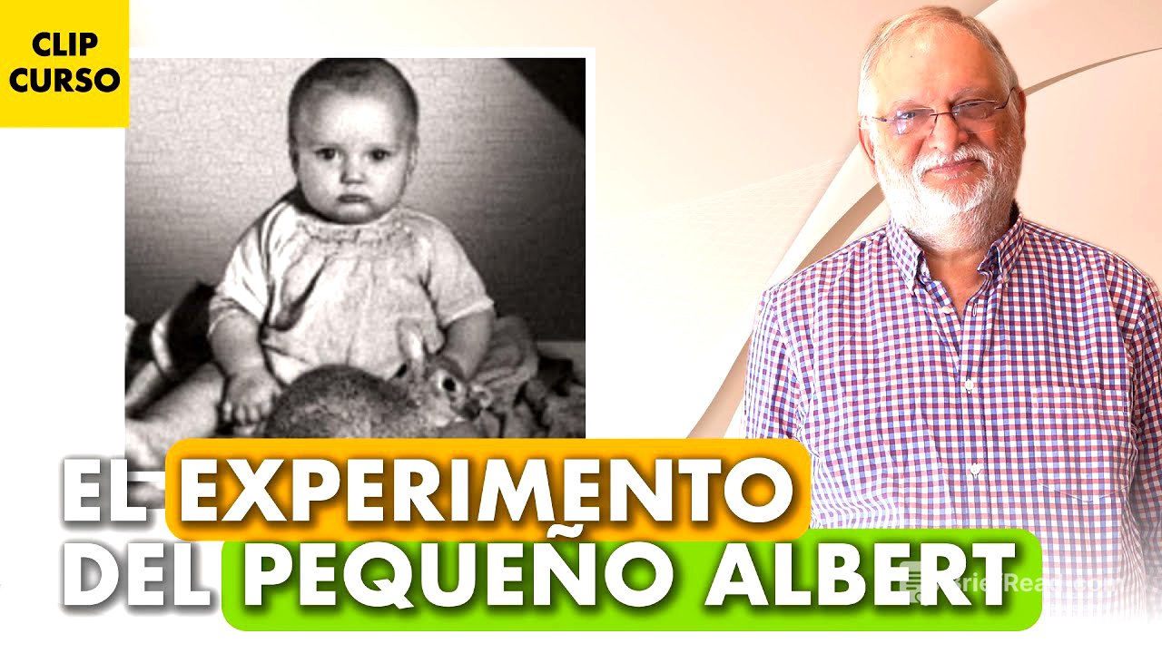 🐭 El EXPERIMENTO del PEQUEÑO ALBERT: ¿generando fobias a un bebé? 🤯 - Santiago Benjumea