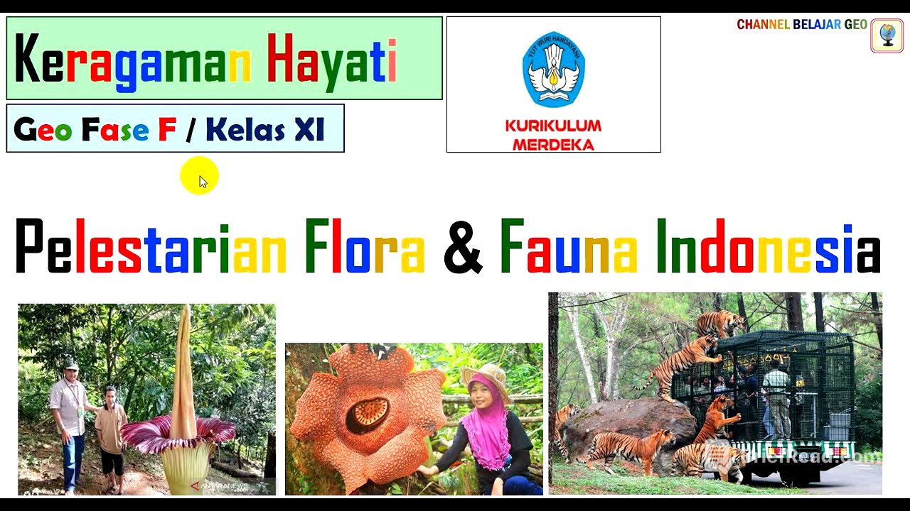 Pelestarian Flora Fauna #kumer