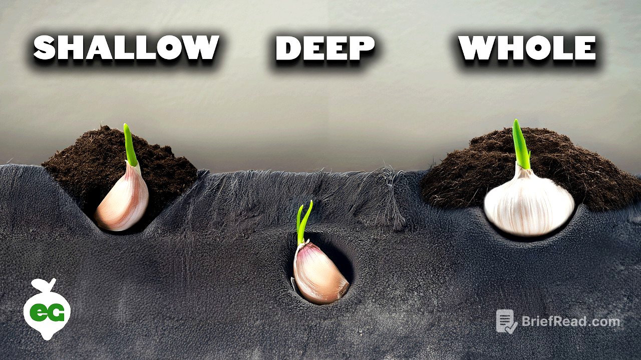 We Grew Garlic 7 Different Ways, Here's What Happened 🧄