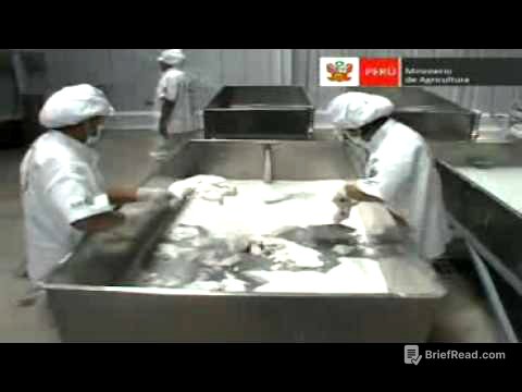 Primera Planta procesadora de almidn de Papa en Andahuaylas   MINAG   AGRORURAL