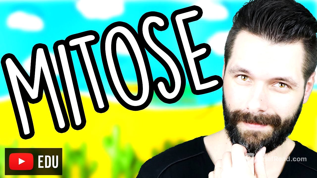 Mitose - Divisão Celular - Aula | Biologia com Samuel Cunha