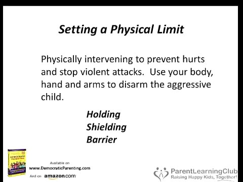Child Behavior Solutions Webinar:  Overcoming Anger, Aggression and Violence in Kids