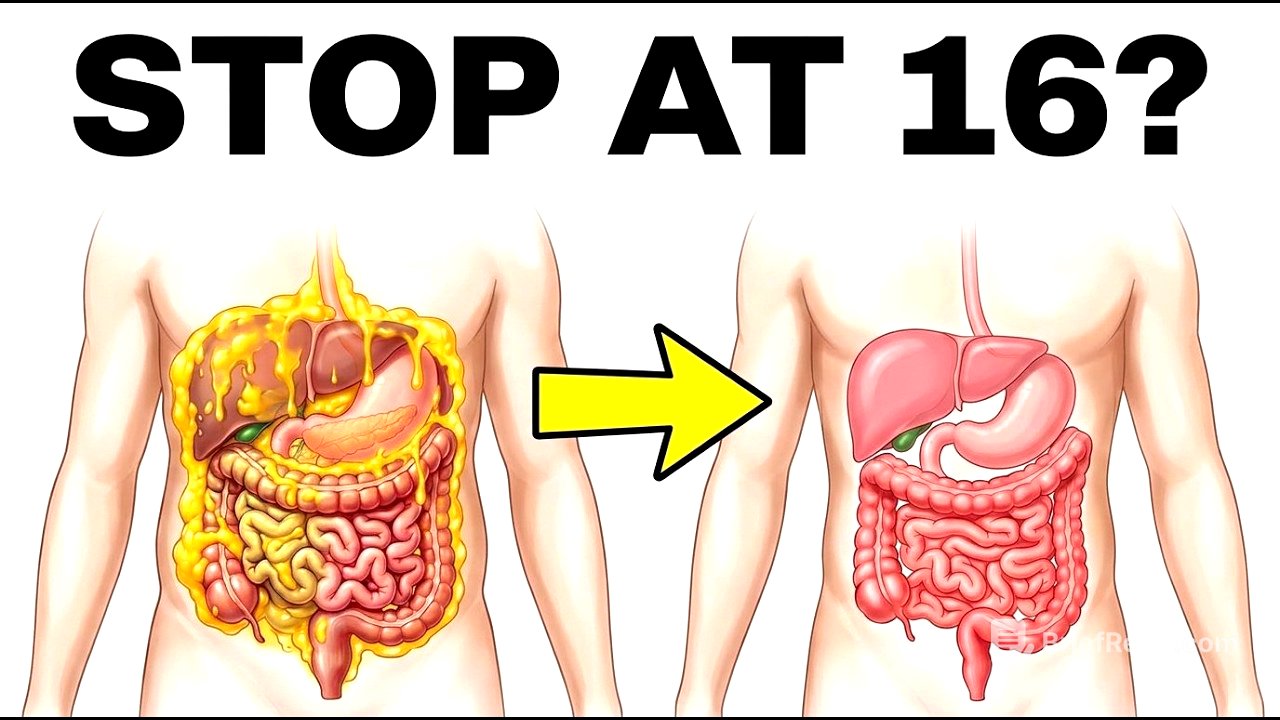 The Exact Fasting Window That Burns The Most Fat (Not 16 Hours)