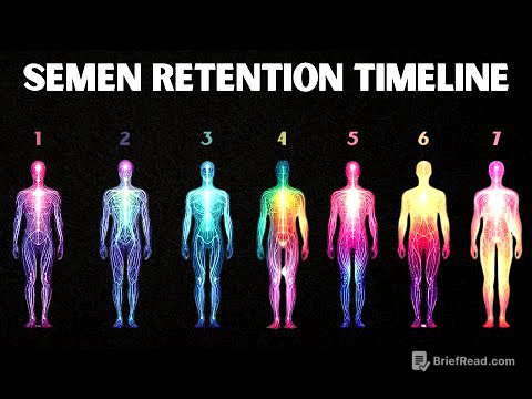 THE 7 STAGES OF SEMEN RETENTION