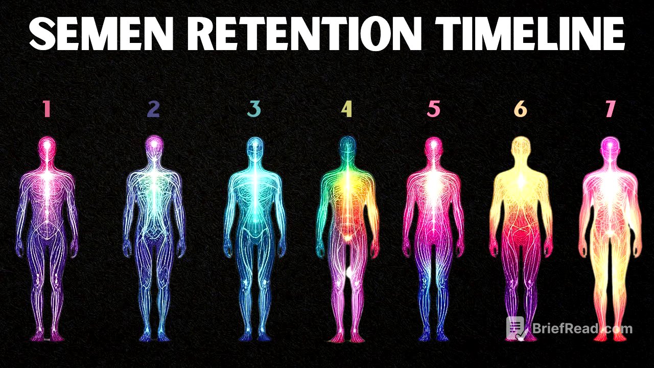 THE 7 STAGES OF SEMEN RETENTION
