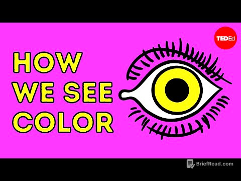 How we see color - Colm Kelleher