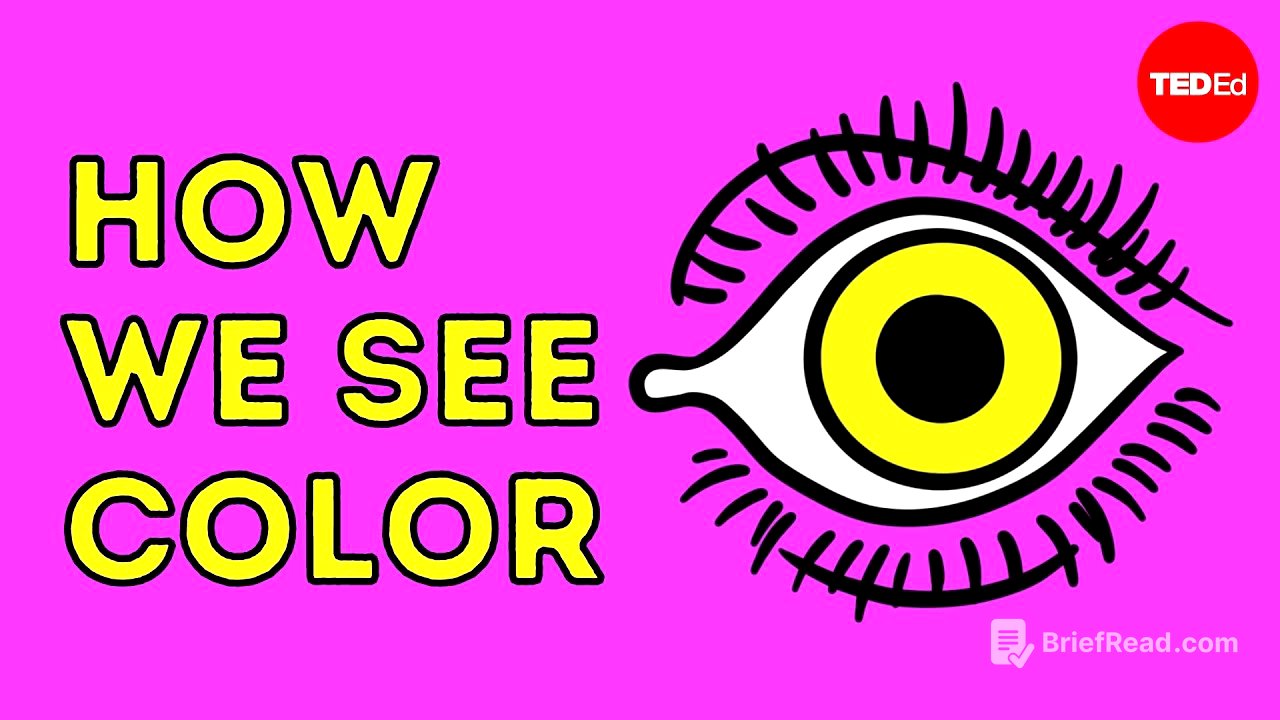 How we see color - Colm Kelleher