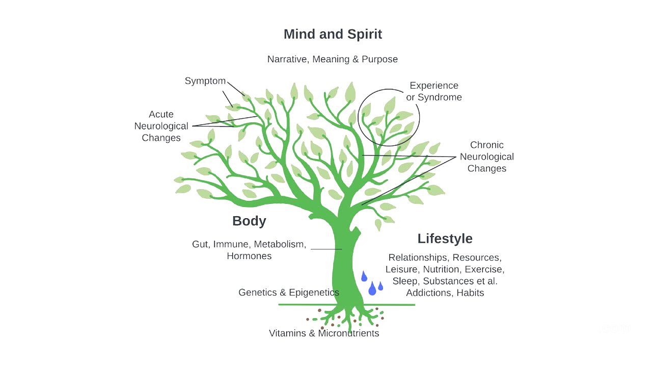 Introduction to Integrative Psychiatry