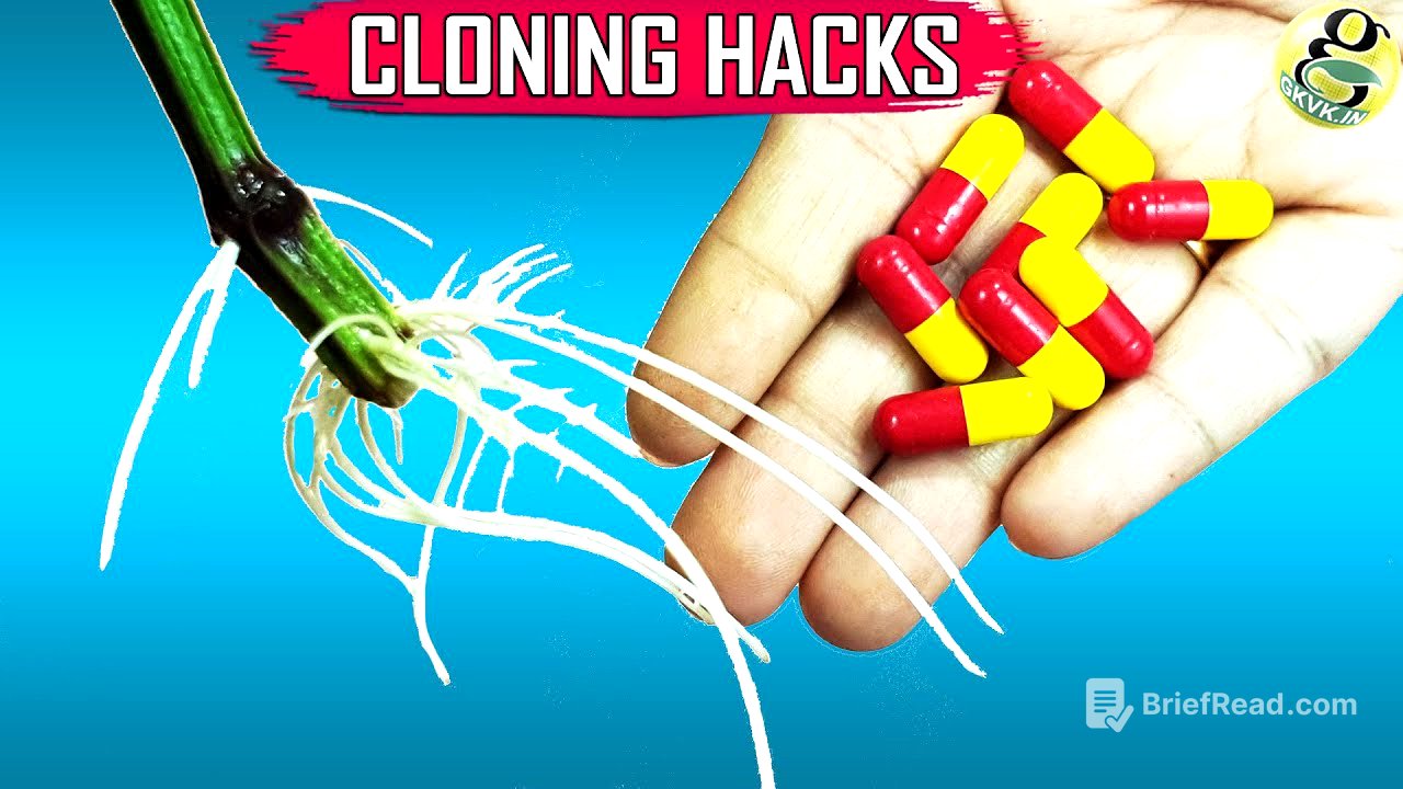 SECRET TIPS TO CLONING PLANTS IN WATER: 10 EASY GARDENING IDEAS AND HACKS
