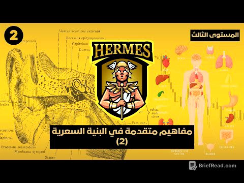 المستوى الثالث- الدرس ٢: مفاهيم متقدمة في البنية السعرية Market Structure- الجزء الثاني